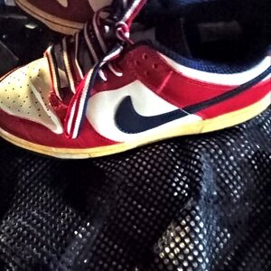 Nike dunk low 2006 stars red white and blue with original rwb laces size 9.5M